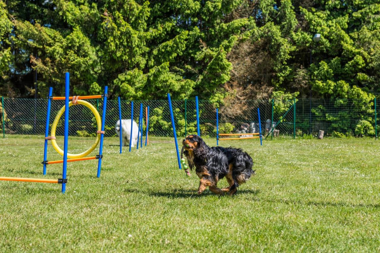 Domy Morskie Dog Friendly Jantar Bagian luar foto