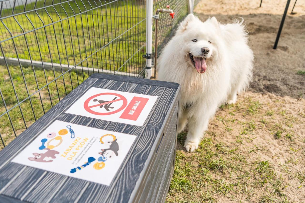 Domy Morskie Dog Friendly Jantar Bagian luar foto