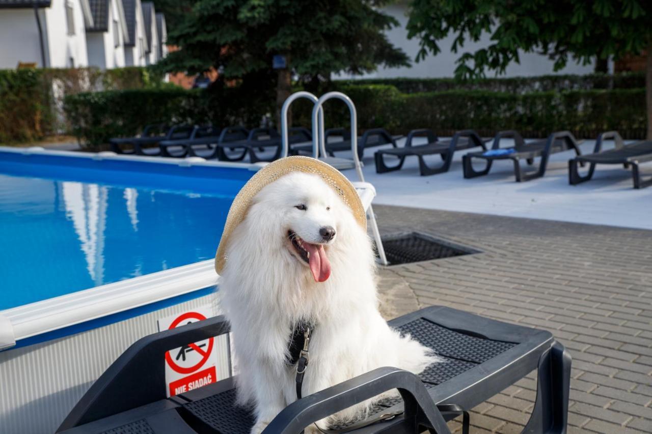 Domy Morskie Dog Friendly Jantar Bagian luar foto